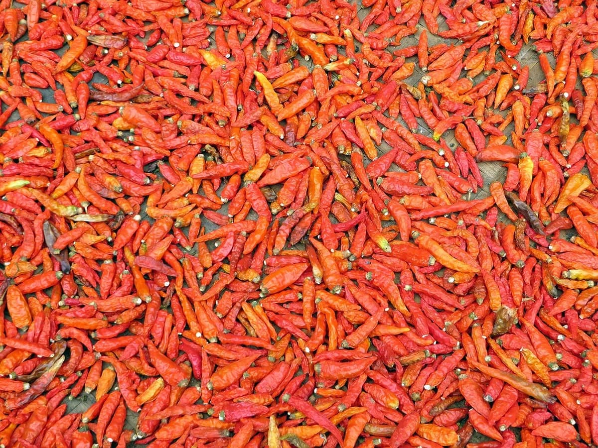 Delicioso Frango Piri Piri: Sabor e Tradição