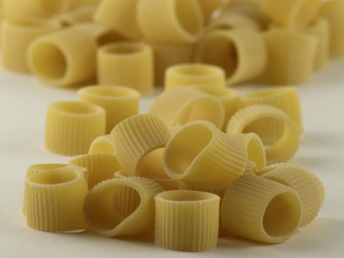 Rigatoni com Molho Sugo