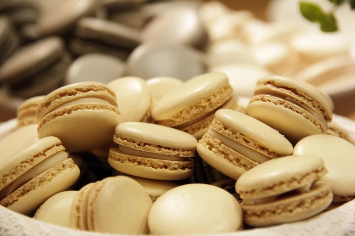 Biscoito Polvilho Temperado: Crocância e Sabor em Cada Mordida