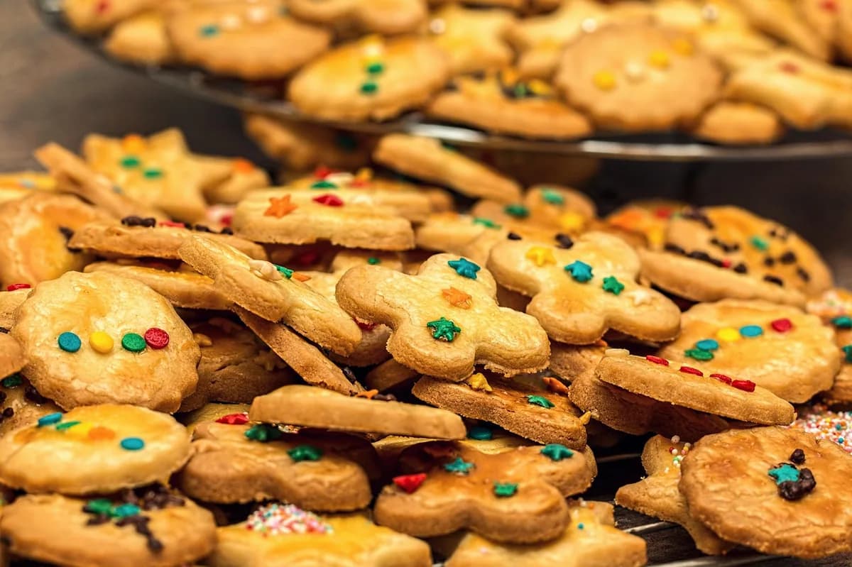 Biscoitos Caseiros de Chocolate: Delícia para Todos