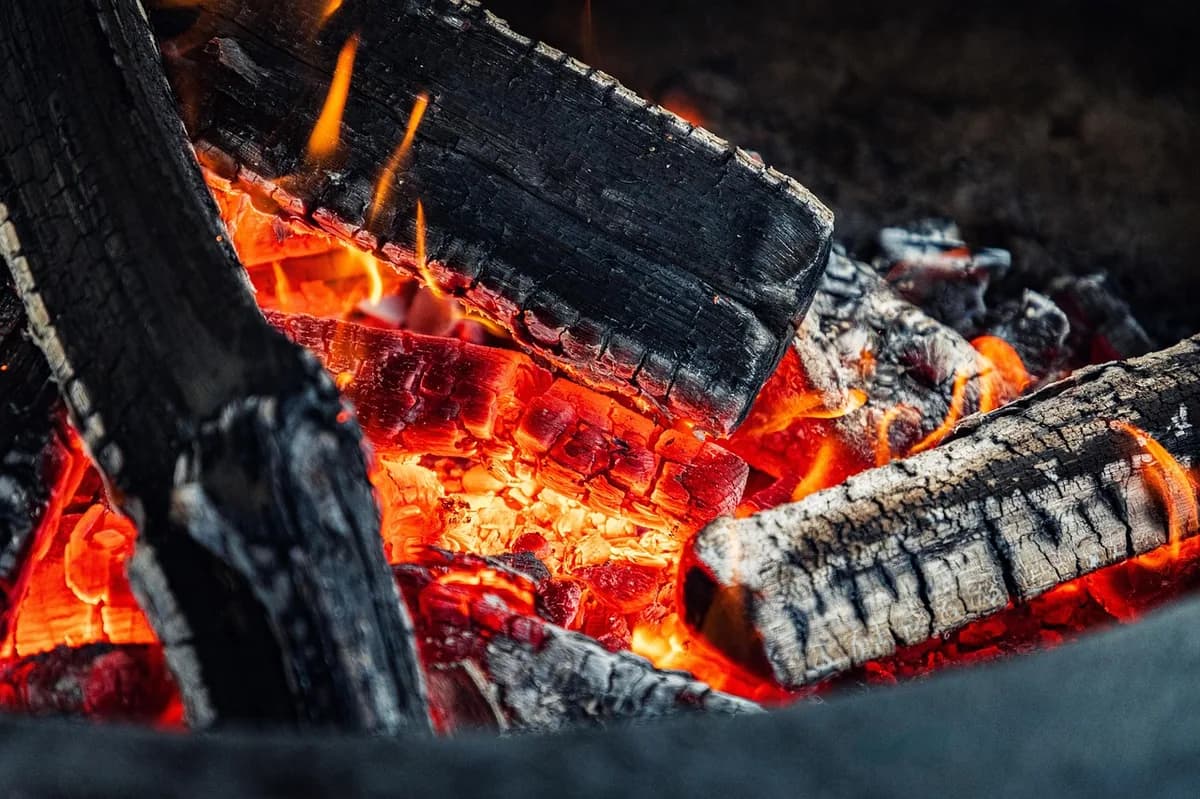 Homemade Barbecue Recipe for the Perfect Grill