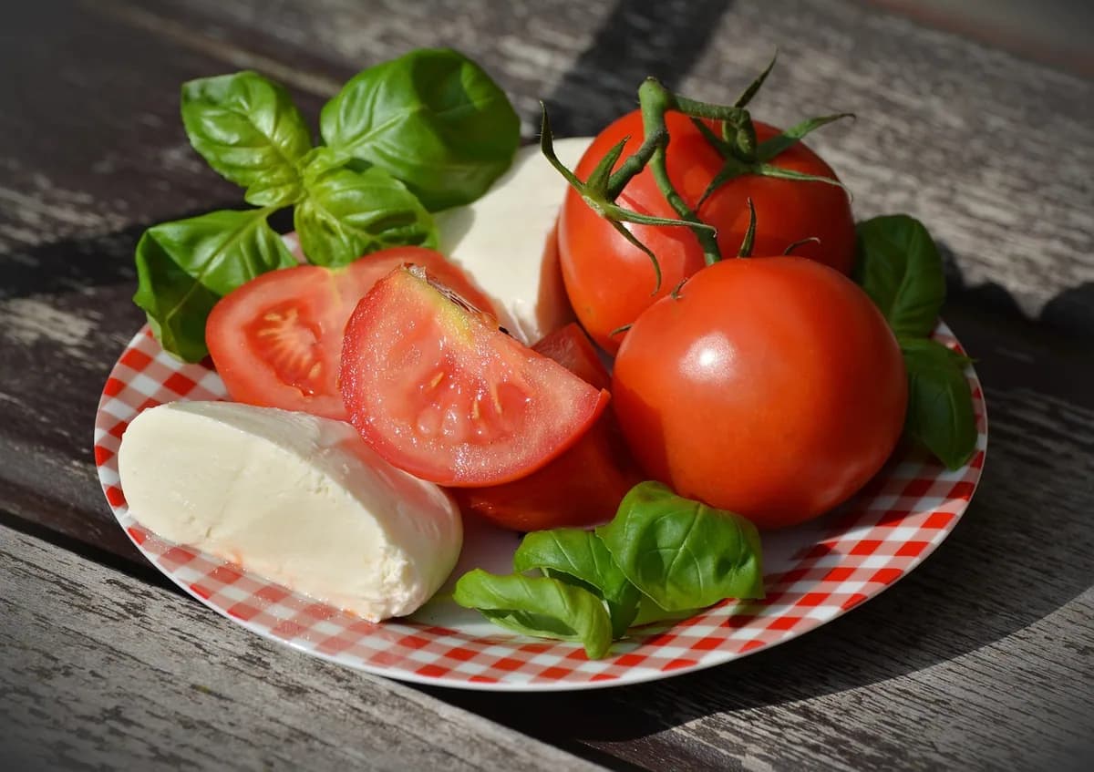 Homemade Mozzarella Recipe: Unmatched Flavor