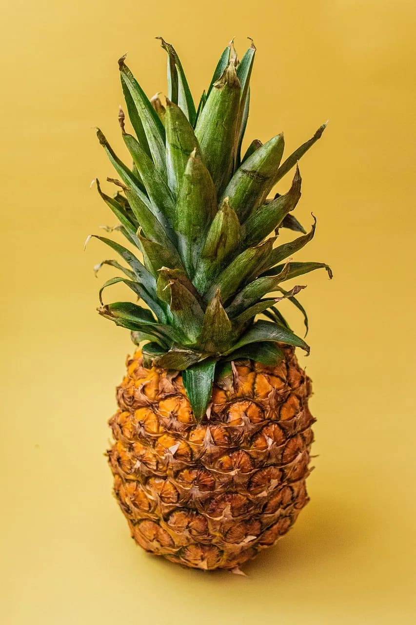 Sorvete de Frutas Tropicais Cremoso