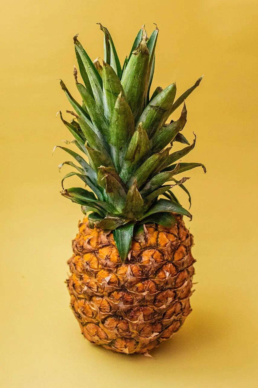 Compota de Frutas: Uma Delícia Caseira para Todos os Momentos