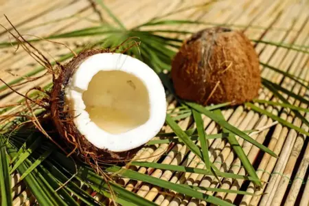 Caril de Peixe Picante e Coco: Leve o Calor do Sul para Casa