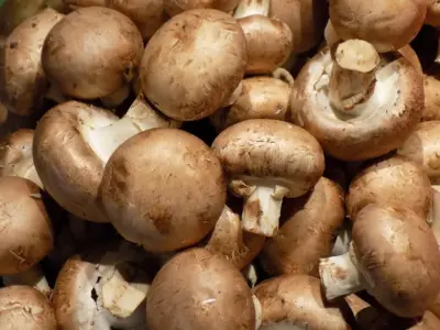Deliciosos Champignons Recheados com Queijo e Ervas