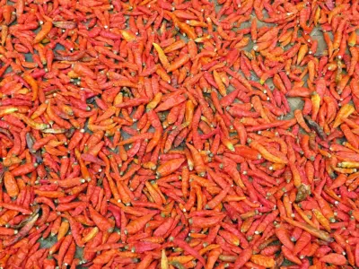 Delicioso Frango Piri Piri: Sabor e Tradição